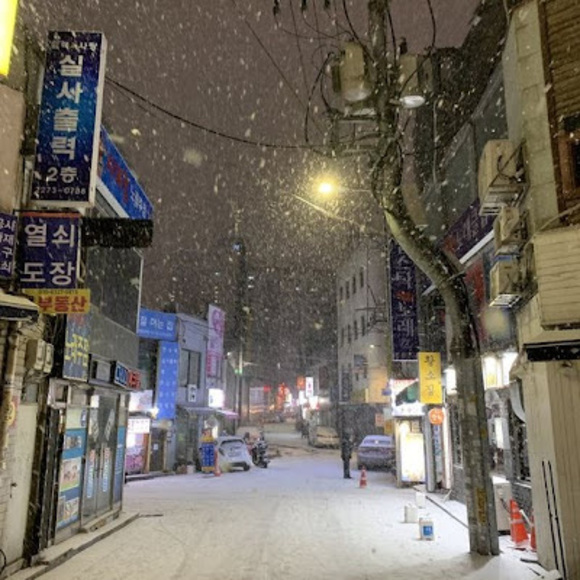 Meet your Posher, Ava - Picture 1 of 1